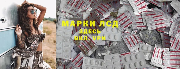 индика Алзамай