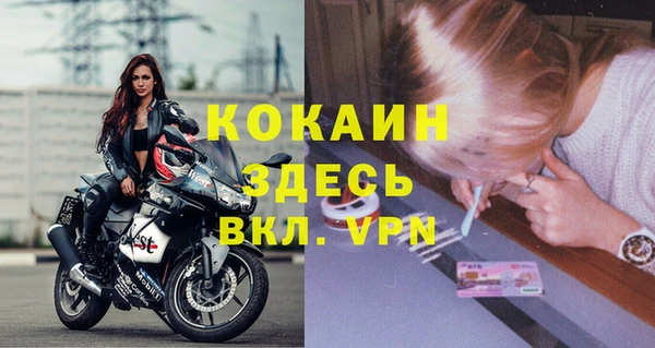 индика Алзамай