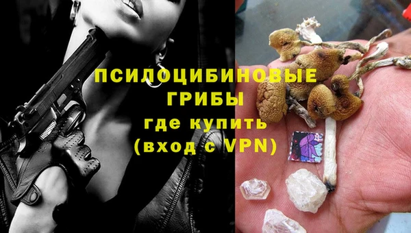 прущие крисы Михайловск