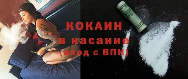 индика Алзамай